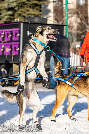 Ceremonial-Iditarod2019-JSchroder_20190302_D4_1920
