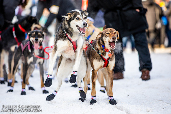 Ceremonial-Iditarod2019-JSchroder_20190302_D4_1815