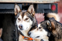 Ceremonial-Iditarod2019-JSchroder_20190302_D4_1155