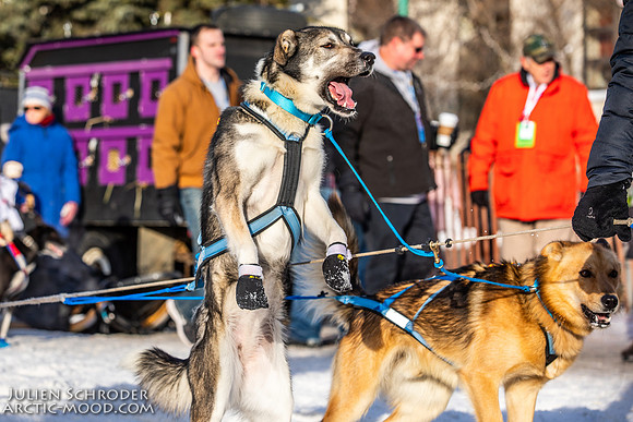Ceremonial-Iditarod2019-JSchroder_20190302_D4_1915