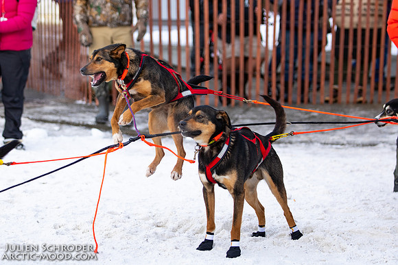 Ceremonial-Iditarod2019-JSchroder_20190302_D4_1540