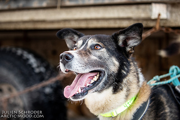 Ceremonial-Iditarod2019-JSchroder_20190302_D4_1418
