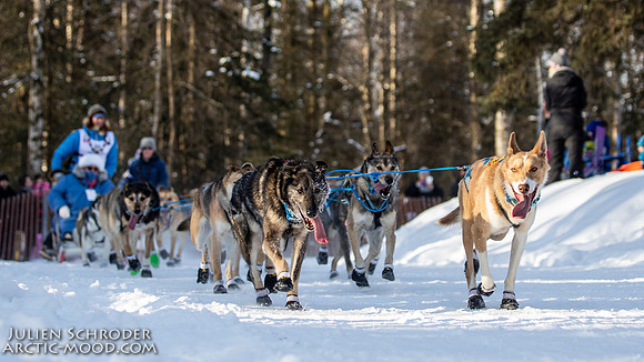 Ceremonial-Iditarod2019-JSchroder_20190302_D4_1997