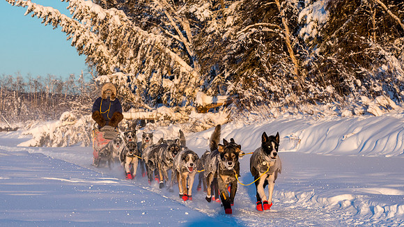5_Circle_YukonQuest2018_untitled_YukonQuest2018_15057_JSchroder-2