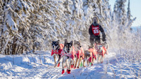 4_Central_YukonQuest2018_untitled_YukonQuest2018_15211_JSchroder-2