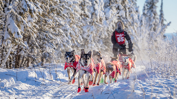 4_Central_YukonQuest2018_untitled_YukonQuest2018_15211_JSchroder-2