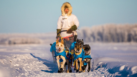 5_Circle_YukonQuest2018_untitled_YukonQuest2018_15100_JSchroder-2