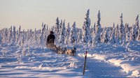 5_Circle_YukonQuest2018_untitled_YukonQuest2018_14737_JSchroder-2