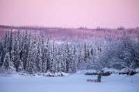 5_Circle_YukonQuest2018_untitled_YukonQuest2018_15031_JSchroder-2