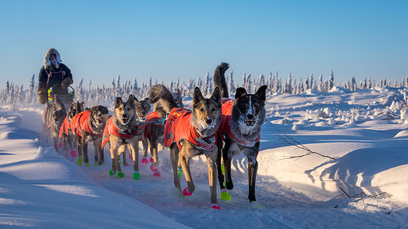 5_Circle_YukonQuest2018_untitled_YukonQuest2018_14721_JSchroder-2