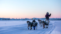 5_Circle_YukonQuest2018_untitled_YukonQuest2018_14869_JSchroder-2