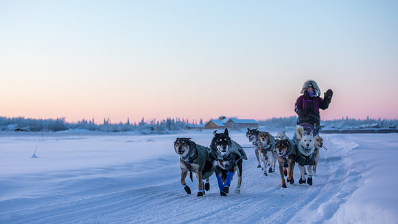 5_Circle_YukonQuest2018_untitled_YukonQuest2018_14869_JSchroder-2