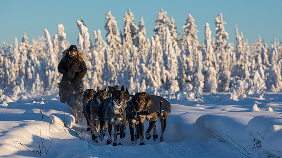5_Circle_YukonQuest2018_untitled_YukonQuest2018_14727_JSchroder-2