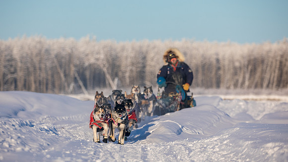 5_Circle_YukonQuest2018_untitled_YukonQuest2018_15134_JSchroder-2