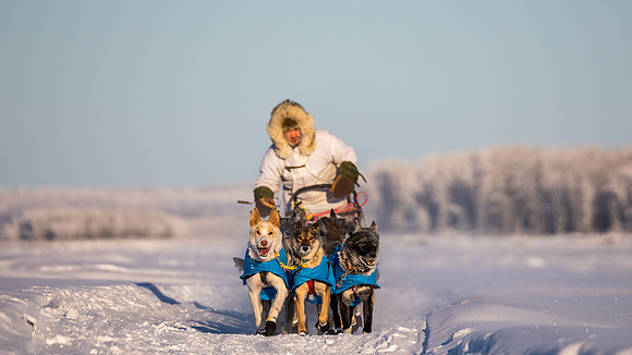 5_Circle_YukonQuest2018_untitled_YukonQuest2018_15097_JSchroder-2