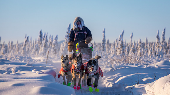 5_Circle_YukonQuest2018_untitled_YukonQuest2018_14715_JSchroder-2