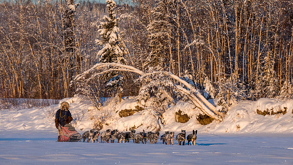 5_Circle_YukonQuest2018_untitled_YukonQuest2018_15037_JSchroder-2