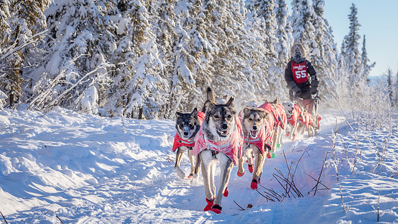 4_Central_YukonQuest2018_untitled_YukonQuest2018_15215_JSchroder-2