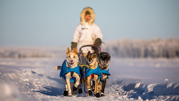 5_Circle_YukonQuest2018_untitled_YukonQuest2018_15103_JSchroder-2