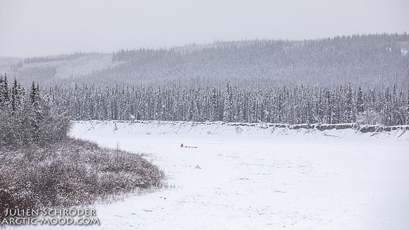 PellyCrossing-YukonQuest2019-JSchroder_20190204_D4_3276