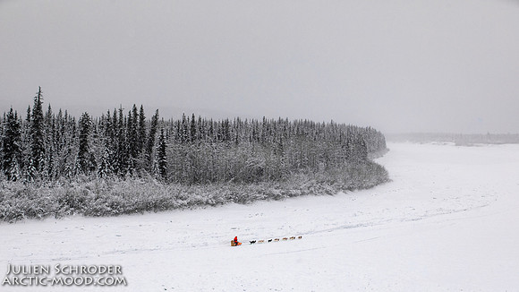 PellyCrossing-YukonQuest2019-JSchroder_20190204_D4_3317