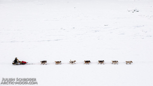 PellyCrossing-YukonQuest2019-JSchroder_20190204_D4_3102