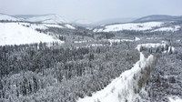 PellyCrossing-YukonQuest2019-JSchroder_20190204DJI_0338