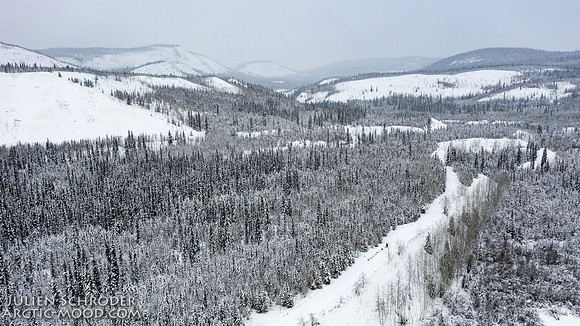 PellyCrossing-YukonQuest2019-JSchroder_20190204DJI_0338