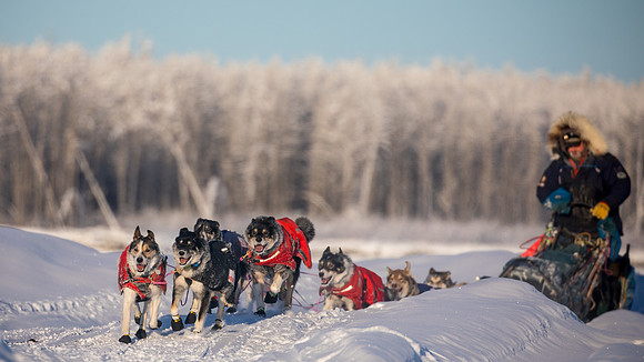 5_Circle_YukonQuest2018_untitled_YukonQuest2018_15131_JSchroder-2
