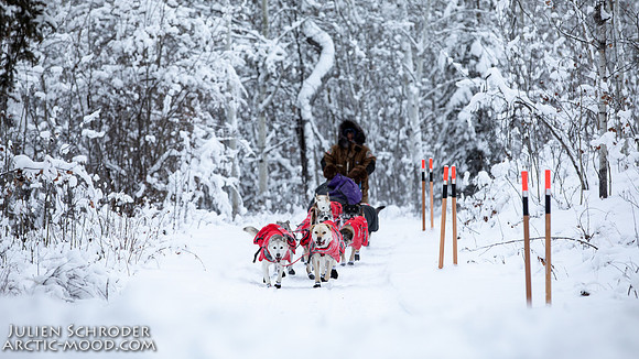 PellyCrossing-YukonQuest2019-JSchroder_20190204_D4_3221