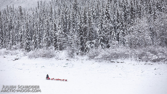 PellyCrossing-YukonQuest2019-JSchroder_20190204_D4_3263