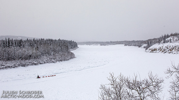 PellyCrossing-YukonQuest2019-JSchroder_20190204_D4_3268