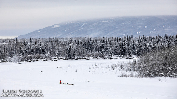 PellyCrossing-YukonQuest2019-JSchroder_20190204_D4_3239