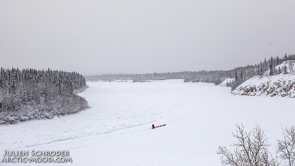 PellyCrossing-YukonQuest2019-JSchroder_20190204_D4_3272
