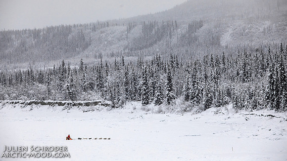 PellyCrossing-YukonQuest2019-JSchroder_20190204_D4_3290