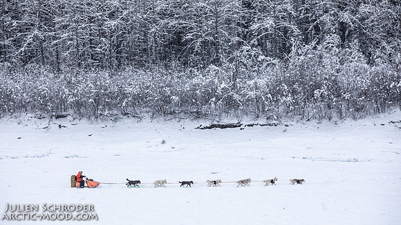 PellyCrossing-YukonQuest2019-JSchroder_20190204_D4_3304