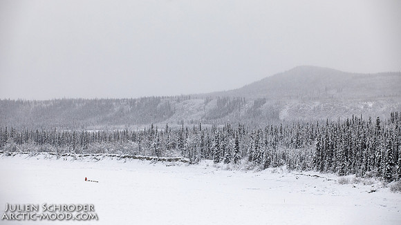 PellyCrossing-YukonQuest2019-JSchroder_20190204_D4_3284
