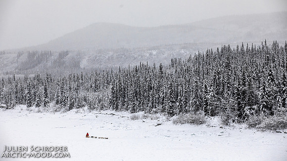 PellyCrossing-YukonQuest2019-JSchroder_20190204_D4_3295