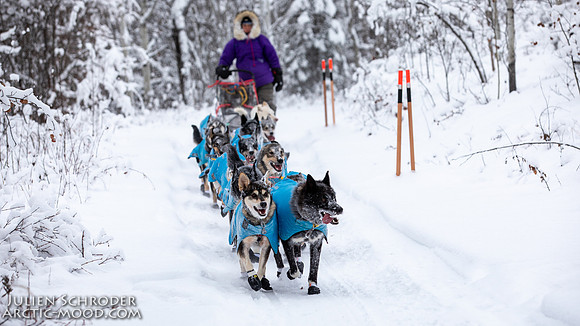 PellyCrossing-YukonQuest2019-JSchroder_20190204_D4_3049