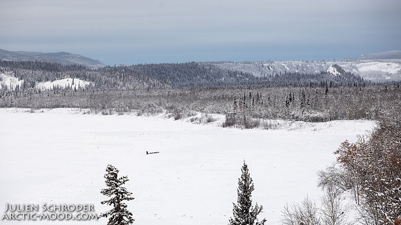 PellyCrossing-YukonQuest2019-JSchroder_20190204_D4_3094
