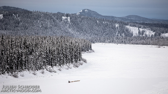 PellyCrossing-YukonQuest2019-JSchroder_20190204_D4_3125