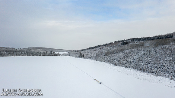 PellyCrossing-YukonQuest2019-JSchroder_20190204DJI_0346