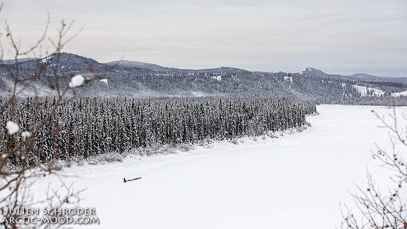 PellyCrossing-YukonQuest2019-JSchroder_20190204_D4_3068