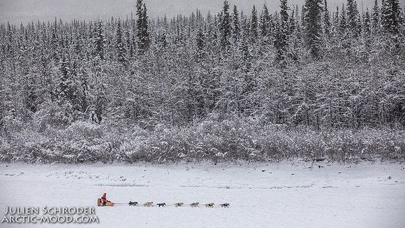 PellyCrossing-YukonQuest2019-JSchroder_20190204_D4_3299