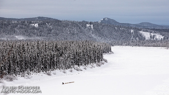 PellyCrossing-YukonQuest2019-JSchroder_20190204_D4_3124