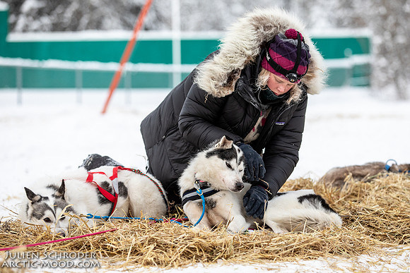 PellyCrossing-YukonQuest2019-JSchroder_20190204_D4_3369