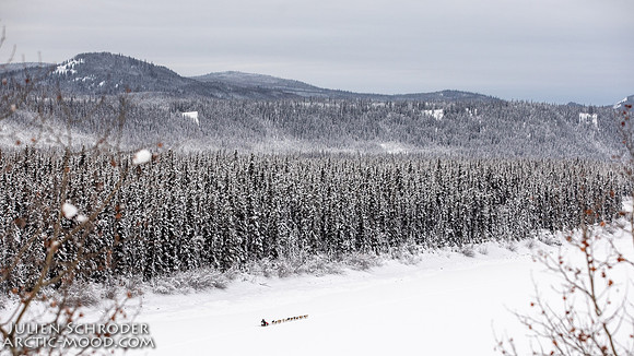 PellyCrossing-YukonQuest2019-JSchroder_20190204_D4_3112