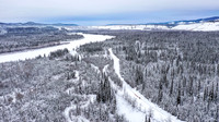 PellyCrossing-YukonQuest2019-JSchroder_20190204DJI_0313