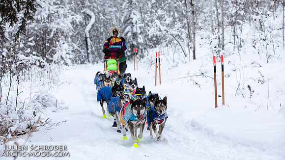 PellyCrossing-YukonQuest2019-JSchroder_20190204_D4_3214