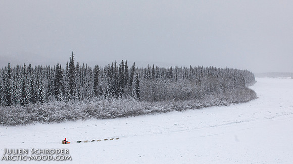 PellyCrossing-YukonQuest2019-JSchroder_20190204_D4_3314